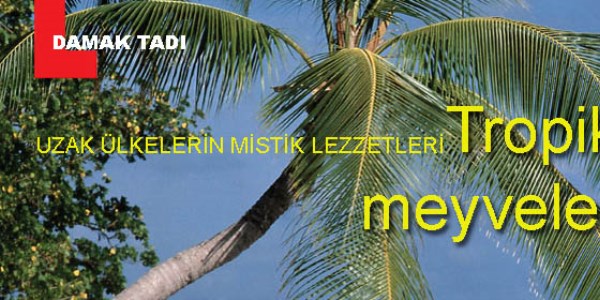 Bu meyveleri daha önce gördünüz mü?
