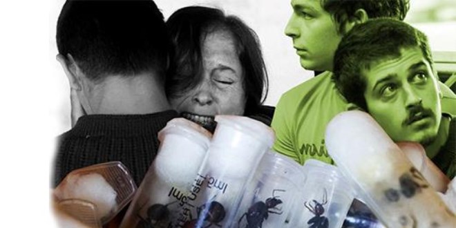 5 bin kraliçe karıncayla yakalanan 4 gence "biyolojik korsanlık" cezası