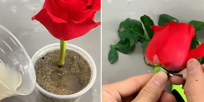 1 gecede goncayı gül yapan taktik!