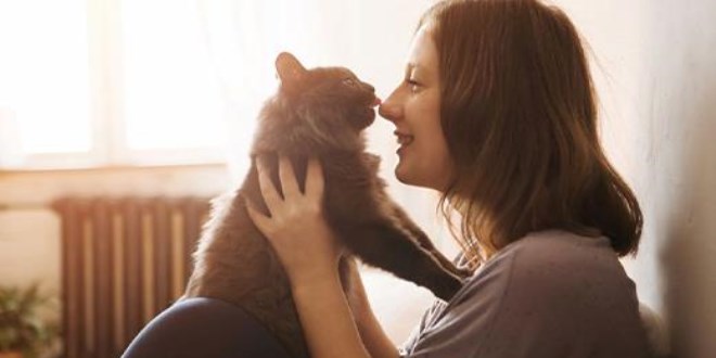 Kedi tırmığı hayatınızı etkileyebilir