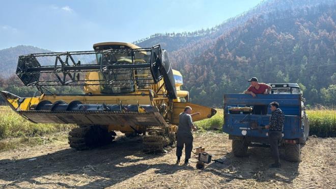 Ardından tahıl kurutma ve temizleme makinelerinde nem oranı uygun seviyeye düşürülüyor.