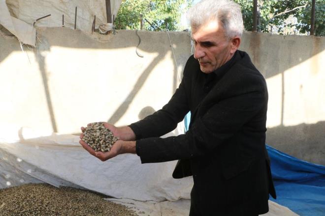 Irak'a yıllık ortalama 400 ton satış yaptığını ve iyi bir gelir elde ettiğini anlatan Es, "Kenger tohumlarını kendi kurduğum atölyeden ayıklayıp tonlar halinde Irak'a ihracat yapıyorum. Burada kenger çekirdeğini imalatını yapan tesisimiz yok. Bunun için proje hazırlayıp ilgili kurma verdik. İnşallah biz bunun tesisinin işletmesini ilçede kuracağız. Böylece Hakkari için de ciddi bir gelir kaynağı oluşturmuş olacağız. Kenger bitkisi Hakkari için iyi bir gelir kaynağı olabilir.