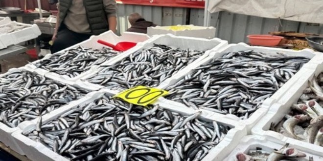 Fiyatı düştü, yoğun ilgi görüyor
