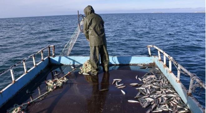 Türkiye'nin balık ihtiyacının önemli bir bölümünü karşılayan Egeli balıkçılar, işlerinin büyük bölümünü üstlenen tayfa bulmakta zorluk yaşıyor.