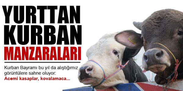 Yurttan kurban manzaraları