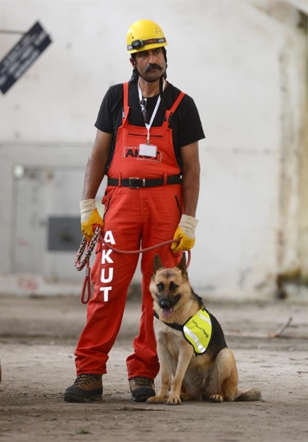 Antalya'da barınaktan alınan 4 sokak köpeği, verilen eğitimin ardından arama kurtarma faaliyetlerinde kullanılabilecek.