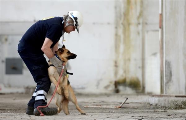 Bir çalışma kapsamında 2009 yılında Antalya'ya gelen Almanya'daki Care-4-Life Derneği yöneticisi Silvia Greene, sokakta yaralı halde, ölüme terkedilmiş bir köpek gördü. Türkiye'de tedavisini yaptırdıktan sonra Greene'nin Almanya'ya götürdüğü köpek, arama kurtarma için uygun olduğunu fark edilince verilen eğitimin ardından havaalanında narkotik arama köpeği olarak görev yapmaya başladı.