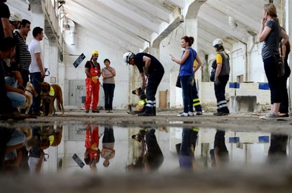Bu yıl tekrar Türkiye'ye gelerek barınaklarda arama kurtarma faaliyetlerine kabiliyetli köpekleri araştıran Greene, Antalya Büyükşehir Belediyesi İtfaiye Daire Başkanlığı Afet Koordinasyon Şube Müdürlüğü, Antalya Gönüllüleri Derneği ile işbirliği halinde "Sahiplen ki o da bir hayat kurtarsın" sloganıyla "Cankurtaran" isimli projeyi hayata geçirdi.