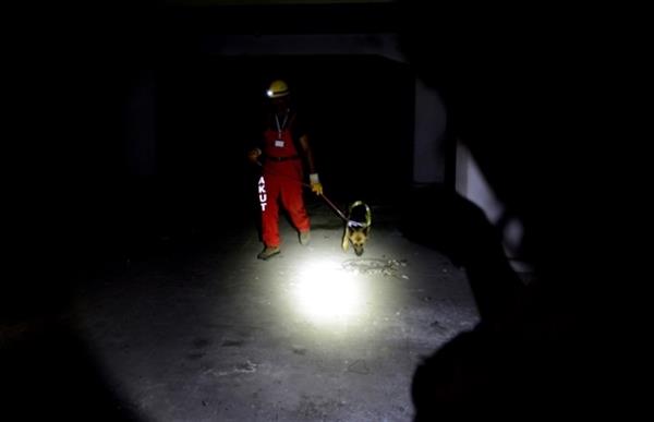 Alman ve Türk uzmanlardan oluşan ekip, Antalya Büyükşehir Belediyesi Veteriner Şube Müdürlüğüne bağlı geçici barınma evindeki sahipsiz köpekler arasından kabiliyetli 4 köpeği seçti. Almanya'dan gelen 5 eğitmen ile 3 arama kurtarma köpeğinin yer aldığı eğitim çalışması, köpek eğitim uzmanı Alman Klaus Röper liderliğinde yürütüldü. Köpeklere ve seçilen 12 eğitimciye 1 hafta süreyle eğitim verildi.