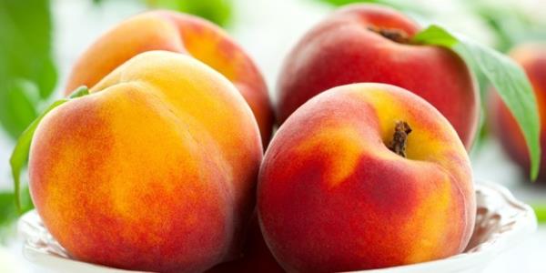 <P>Şeftali</P>  <P>A, B ve C vitaminleri bakımından oldukça zengin olan şeftali, bunların yanı sıra bol miktarda potasyum, magnezyum, kalsiyum, sodyum, demir ve fosfor içeriyor. Sindirim sistemi üzerinde oldukça etkili olan şeftali, idrar söktürücü özelliğiyle hazmı kolaylaştıyor. İdrar yollarındaki kum ve taşı dökerken,içeriğindeki lutein ile göz sağlığının korunmasına yardımcı oluyor. Şeftali ayrıca, gut hastalığını da önlüyor.</P>