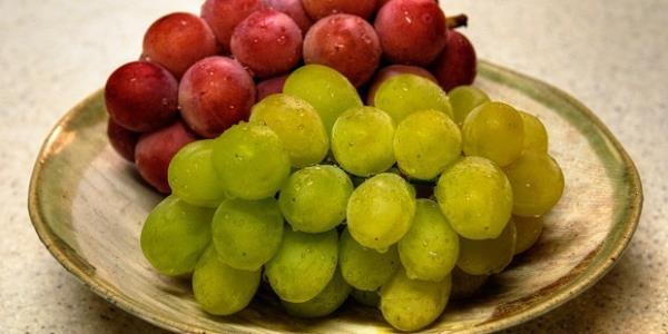 <P>Üzüm</P>  <P>Bu lezzetli meyve, adeta bir vitamin ve mineral deposu. Kalp sağlığına olan katkısından, cilde olan yararlarına kadar birçok faydası bulunuyor. Üzümün içeriğinde bulunan çok sayıda antioksidan, C ve K vitaminleri ve beta karoten; vücudun, hücre bozulmasına neden olan serbest radikallerden arındırılmasına yardımcı oluyor. Ayrıca kolesterolün düşürülmesinde, kan damarlarının onarılmasında ve kalp sağlığının korunmasında oldukça etkili. Üzüm çekirdeğinin yağı, cildin kolajen ve elastin dokusunu koruyor. Günde bir avuç üzüm, kırışıkların azaltılmasına da yardımcı oluyor.</P>