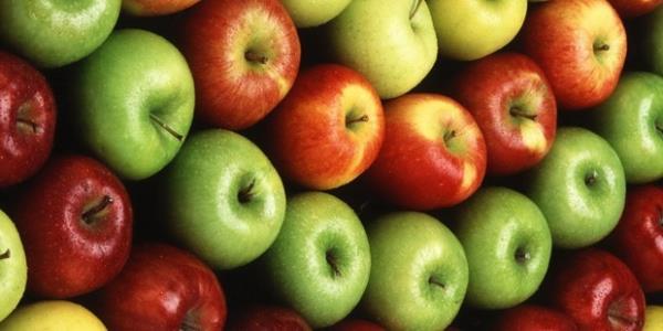 <P>Elma</P>  <P>Güçlü bir antioksidan ve lif kaynağı olan elmanın yararları saymakla bitmiyor. Ortalama bir elma 100 kalori kadarken, hiç yağ barındırmıyor. Elma, kardiyovasküler hastalıkların riskini azaltırken, kanserin, diyabetin ve astımın önlenmesine yardımcı oluyor. C vitamini ve aminoasitler bakımından oldukça zengin olan elma, kanser, artrit ve iltihapları önlerken; Parkinson ve Alzheimer gibi nörolojik rahatsızlıklara neden olan serbest radikallerle de savaşıyor. Bağışıklığı güçlendiren elma, içeriğindeki malik asit sayesinde dişlerin beyaz rengini korumasına da yardımcı oluyor.</P>