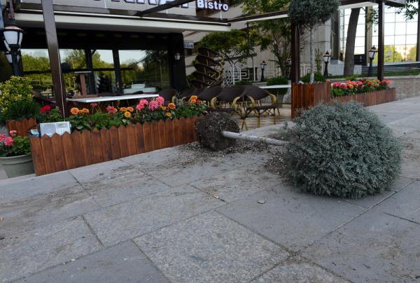 Ankara'da, Taksim Gezi Parkı'ndaki olayları protesto eden grubun eylemlerinin ardından, belediye ekipleri sabahın erken saatlerinde caddeleri temizledi. Göstericiler, bir kafenin girişinde bulunan süs ağacını söktü.