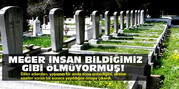 Meğer insan bildiğimiz gibi ölmüyormuş!