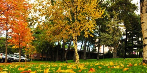 Türkiye'den sonbahar manzaraları