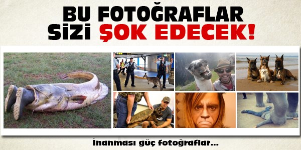 Bu fotoğraflar sizi şok edecek