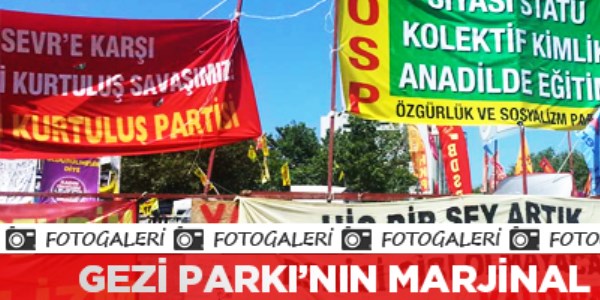 Gezi Parkı'nın marjinal partileri