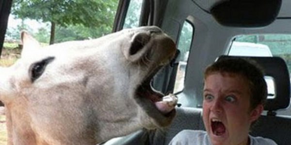 Güldüren facebook fotoğrafları