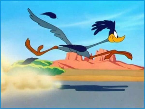 ROADRUNNER