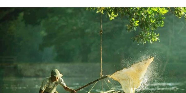 Birbirinden enteresan fotoğraflar