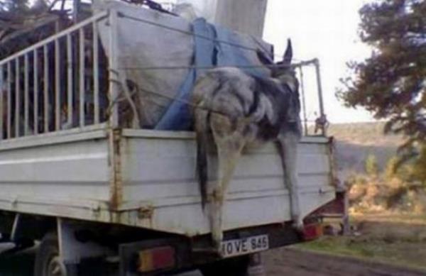 <b> Yurdum insanından kareler </b>