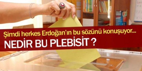 11 Soruda Plebisit nedir?