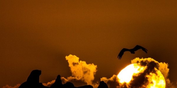 National Geographic'ten müthiş fotoğraflar