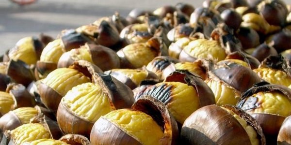 Aralık ayında bol bol yenmesi gereken besinler