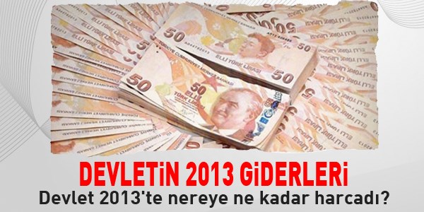 Devlet 2013'te nereye ne kadar harcadı?