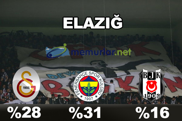 En çok taraftarı olan takım hangisi?