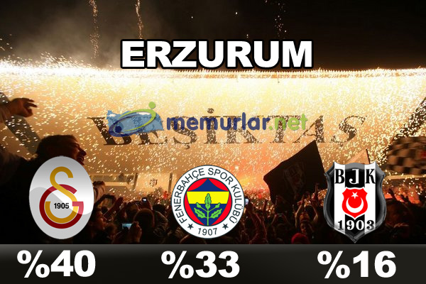 En çok taraftarı olan takım hangisi?