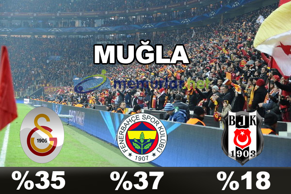 En çok taraftarı olan takım hangisi?