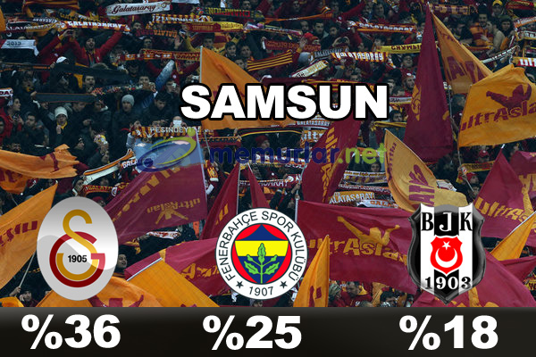 En çok taraftarı olan takım hangisi?