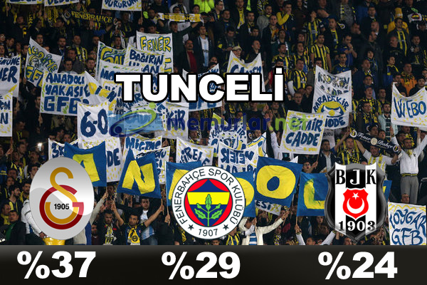 En çok taraftarı olan takım hangisi?