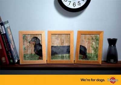 Dikkat çekme ustası olan reklam ajanslarının son çalışmaları oldukça ses getirecek nitelikte.