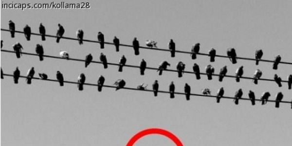 En iyi 14 Şubat caps'leri
