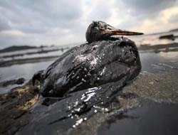 Halbuki haberi hazırlayan ve CNN'den bunu kullanmasını isteyen Pentagon'du.