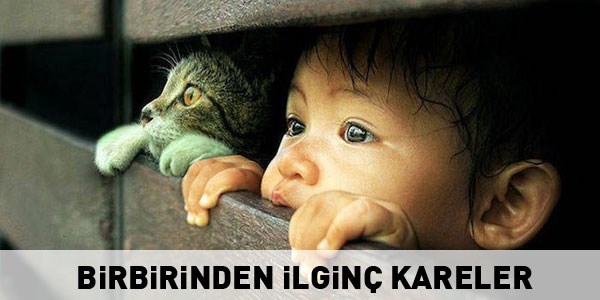 Günün ilginç kareleri