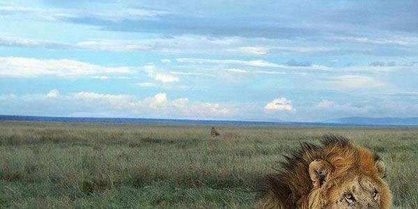 National Geographic Instagram'da