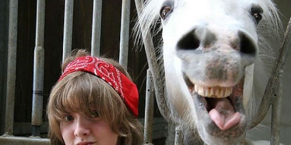 Fotoğrafları sabote etmeye meraklı atlar