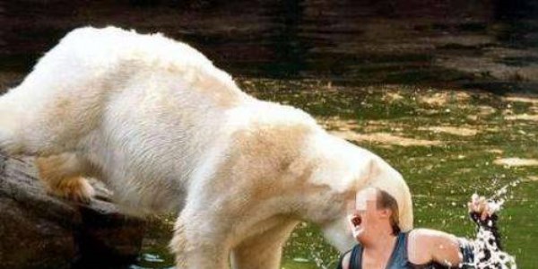 Hayvanların insanlara saldırdığı anlar