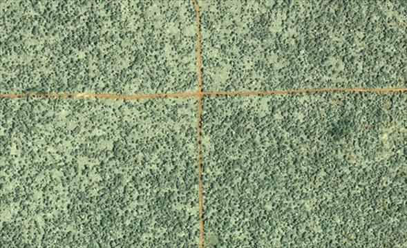 Kongo'daki Yağmur Ormanları ve ortasından geçen kazı yolları, 2002'de IKONOS uydusundan çekildi.