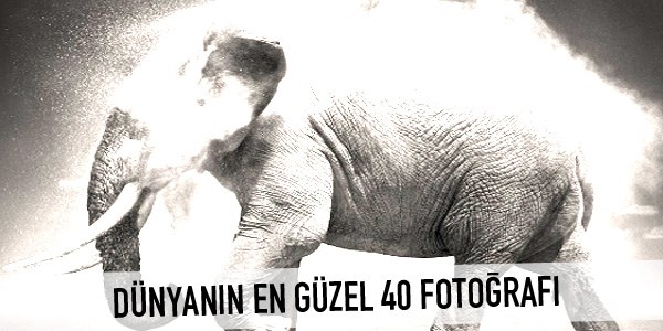 Dünyanın en güzel 40 fotoğrafı