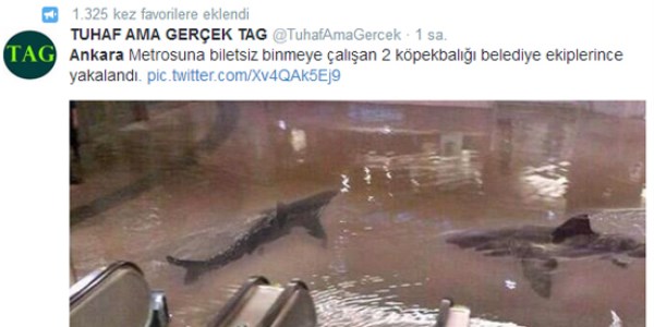 Ankara metrosunda köpek balığı