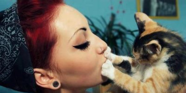 Öpülmeyi sevmeyen 21 kedi