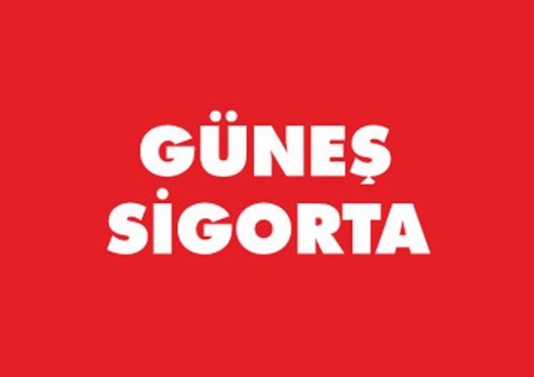 <br><b>89- GÜNEŞ SİGORTA</b></br>  25 milyon dolar