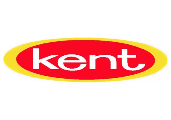 <br><b>45- KENT GIDA</b></br>  106 milyon dolar