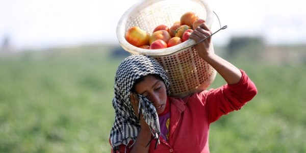 Fotoğrafçıların gözünden 'Tarımda Kadın'