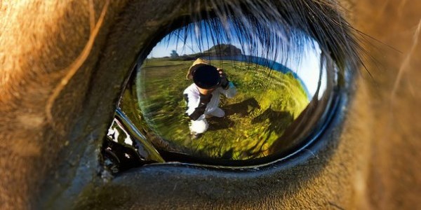 Birbirinden çarpıcı fotoğraflar
