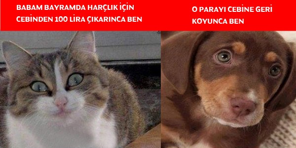 Bayramlık 'caps'ler!